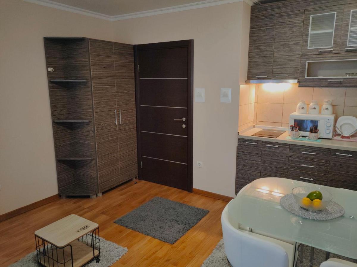 Apartman Jovanovic Vrnjačka Banja Extérieur photo